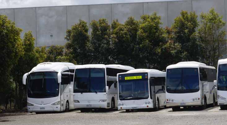 Berwick Mercedes O500RF Irizar i6 53, Coach Design 51, O405NH ABM CB60 37 & OH1830 Express 9